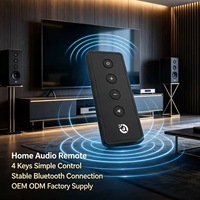 Control Remoto de Audio JCXK de 4 Teclas, Barra Larga y Delgada, OEM ODM Personalizado para Altavoz y Amplificador
