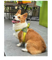 Harnais et laisse rétractables personnalisés pour chien, fabrication OEM, étiquette privée, fabricant de gilets pour animaux de compagnie, harnais de sécurité de haute qualité