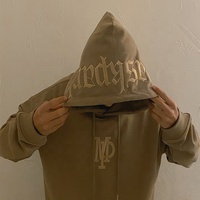 Sudadera con Capucha de Algodón y Felpa de Alta Calidad, Personalizada con Logotipo 3D en Relieve, Bordado e Impresión, Ecológica, Talla Grande, Anti-pilling, Otoño, ODM