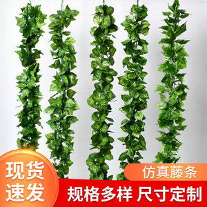 เถาวัลย์ไอวี่สีเขียวประดิษฐ์ 2.2 เมตร พลาสติกแขวนตกแต่งบ้าน งานแต่งงาน - Product Image 4