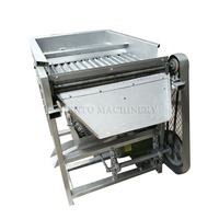 Machine électrique automatique à degrés, éplucheuse de haricots et de pignons, éplucheuse de haricots vertes