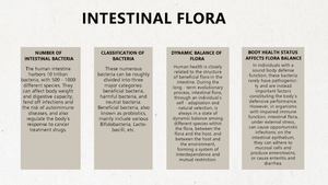 シェンキ有機健康茶固形飲料ボックスは、腸内減量を促進しますボディシェイピングは血糖値を下げ、便秘を和らげます - Product Image 5