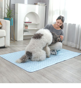Nueva Llegada Transpirable Resistente a los Arañazos Color Sólido Verano Hielo Seda Enfriamiento en Frío Almohadillas para Mascotas - Product Image 5