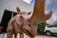 Dinosaures animatroniques interactifs personnalisés pour les parcs d'attractions, les expositions en plein air, les aires de jeux pour enfants, les modèles de parcs à thème, les structures de jeux publiques en métal, les jardins