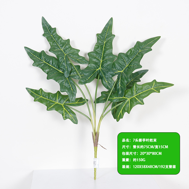 Lot de 7 têtes de feuilles d'arrow-root - 75 cm