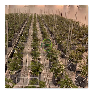 4Ft serre agricole Indoor Vertical Farm Hydroponics nutriente Mobile Grow Rack System Rolling Bench - Product Image 6