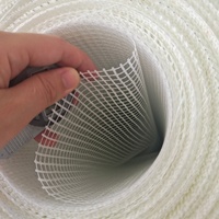 Maille en fibre de verre imprimée avec logo, enduite alcali, 160g, certifiée CE, pour réparation de fissures murales, résistante aux hautes températures, maille 700