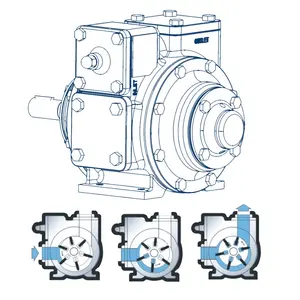 Blackmer Zelfaanzuigende Brandstof Vaan Oliepomp Vacuümschoepenpomp Sliding Olie Vane Pomp