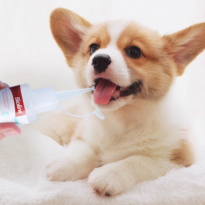 Gel rafraîchissant d'haleine fraîche pour chats chiens soins d'hygiène dentaire saveur de <span class=keywords><strong>boeuf</strong></span> matière plastique silicone élimine les taches de mauvaise haleine - Product Image 3