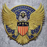 Haute qualité majestueux aigle vol crête broderie emblème presse à chaud patchs de broderie