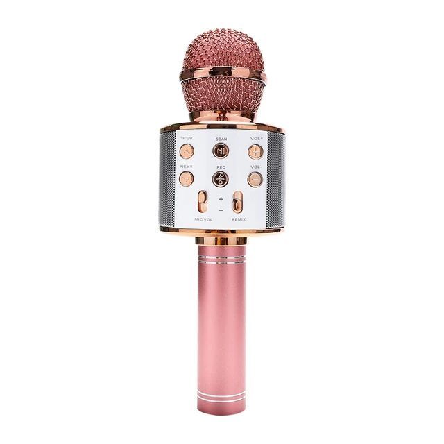 2025 Popular WS-858 Portable KTV BT5.0 Wireless Karaoke Microphone Speaker With LED Lights Home Party Hifi Speakers