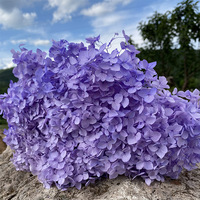 Prachtige handgemaakte decoratieve gedroogde hortensia bloemen voor feestelijke decoratie, tafeldecoratie en huisdecoratie