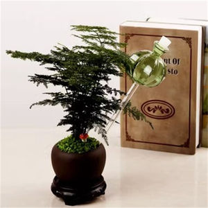 <span class=keywords><strong>Arrosoir</strong></span> à fleurs en verre <span class=keywords><strong>cactus</strong></span> - Product Image 4