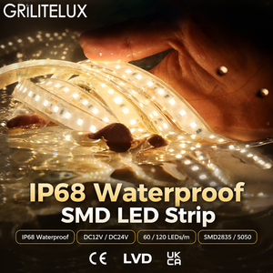 <b>LED</b> Strip Light SMD2835 120LEDs/m DC24V 14W 25mm Cut 90-100lm/W IP68 Cool White for Building Facades - Product Image 1