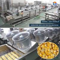 Chaîne de traitement industrielle Fengxiang pour l'épluchage, le battage, le lavage, la blanchiment et le séchage à l'air du maïs frais et du maïs doux