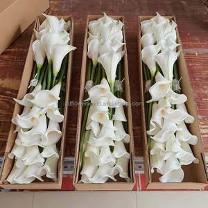 65 cm Realistische PU <span class=keywords><strong>Calla</strong></span>-Lilien Künstliche Blumen Großhandel Hochzeitstisch-Blumen Dekorativer Lieferant - Product Image 1