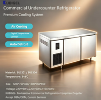 Réfrigérateur commercial 300L à double porte en acier inoxydable, refroidisseur d'air, refroidisseur de comptoir, ventilateur de table, commande numérique automatique