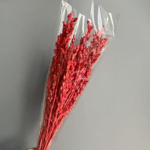 2025 Nuevo beleño conservado para decoraciones de bodas y decoraciones navideñas - Product Image 4