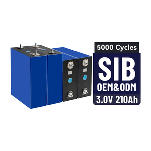 แบตเตอรี่โซเดียม-ไอออนแบบแท่งปริซึม Exliporc 210Ah 3.1V สำหรับรถบรรทุกไฟฟ้า รองรับ OEM ODM พร้อมอายุการใช้งานมากกว่า 4000 รอบ - Product Image 1