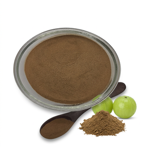 Exportador de Polvo de Fruta de Amla para el Cuidado del Cabello a Granel desde India - Product Image 1