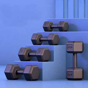 Haltères hexagonaux robustes en PE de 10 kg et 5 kg pour l'entraînement de force, la musculation et le renforcement musculaire – Équipement de gym - Product Image 1