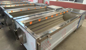 Máquina Peladora de Frutas y Verduras de Acero Inoxidable 304 de Alta Calidad, Rodillo Cepillador para Patatas y Jengibre, Herramienta de Limpieza Superior - Product Image 6