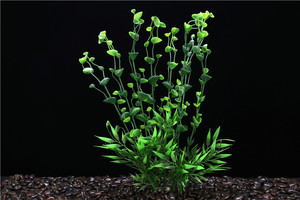Ornements de paysagisme pour aquarium, fournitures d'aquarium, plantes aquatiques simulées écologiques, plantes aquatiques en plastique, marque <span class=keywords><strong>Levana</strong></span> - Product Image 6