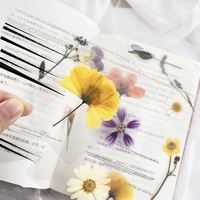 Penanda Buku Daun Tanaman Bunga Kering Laminasi, Daun Asli Dekoratif, Alat Peraga Foto, Kemasan Plastik Tertutup, Asal Fujian