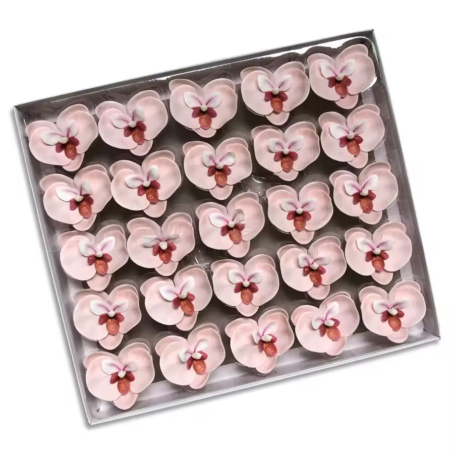 แกนสีชมพูอ่อน