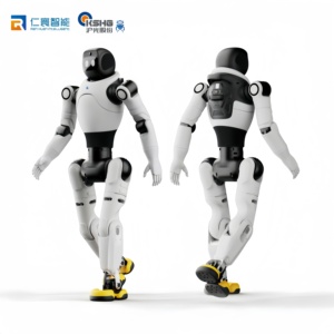 <span class=keywords><strong>Robot</strong></span> Umanoide Serie QuanNeng X2 con Movimento Flessibile a 6 Assi, Protezione IP66, Design Personalizzato per l'Istruzione - Product Image 6