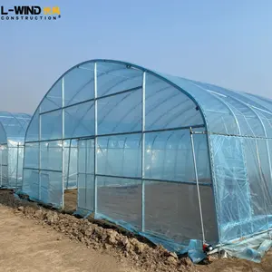 Green house agricultural large plastic film greenhouse China factory