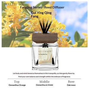 Diffuseur de parfum léger et longue durée, huile essentielle, parfum d'intérieur de luxe pour chambre à coucher, hommes et femmes, usage domestique - Product Image 6