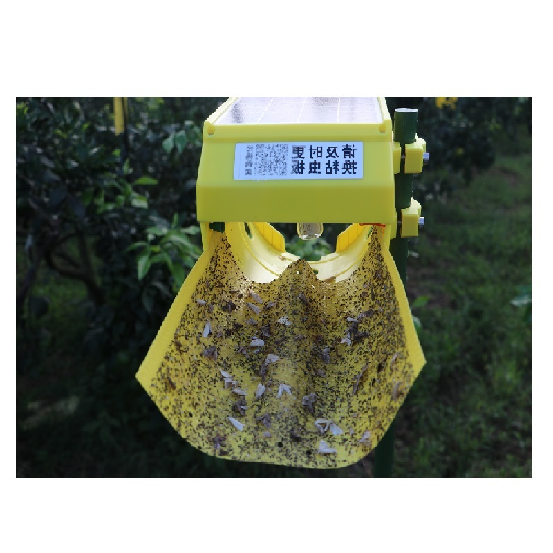 Hot Sale Solar Pest Killer Insect