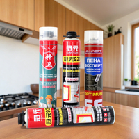 Mousse polyuréthane expansive imperméable de 750 ml pour la construction, la décoration intérieure et la construction, haute résistance, OEM