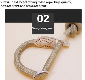 2 <span class=keywords><strong>en</strong></span> 1 Collier de <span class=keywords><strong>laisse</strong></span> pour chien sans traction Multi-color Non-slip Handle Walking Durable P Ring Nylon Dog Leash - Product Image 4