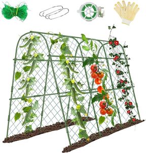 Extérieur Cour Jardin Décor Plantes Grimpantes Arche Treillis Légumes Tomate Concombre Raisin Treillis - Product Image 4
