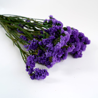 Bouquet de fleurs séchées pressées « Ne m'oubliez pas » naturelles, durables, écologiques pour la décoration de la maison et de mariage, Noël