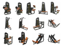 Máquina de Entrenamiento de Glúteos y Piernas Ajustable con Pernos de Acero Mairuida MRD-LJ18 - Máquina de Extensión Resistente y Duradera