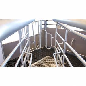 Vente directe d'usine avec conception anti-pression protéger les porcelets galvanisé à chaud caisse de mise bas personnalisée - Product Image 2