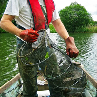 Filet de pêche télescopique PE à deux trous piège à crabe écrevisses filet de piège à poisson écrevisse
