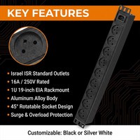 Unité de distribution d'alimentation (PDU) en aluminium sur mesure pour projets OEM en Israël, boîtier noir/argent avec impression de logo, fabricant