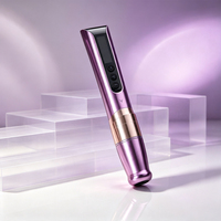 Stylo PMU Électrique Sans Fil Charme Princesse CP M2 E451 Double Batterie 800 mAh 2.0-3.5mm Acier Inoxydable USB-C 121g 10 Pièces Sourcils Lèvres