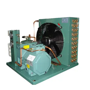 Air Cooled Cold Room Condenser Unit Refrigeration Freezer Compressor Condensing Unit