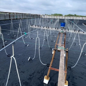 Géomembrane HDPE écologique à vente chaude <span class=keywords><strong>pour</strong></span> la pisciculture et le revêtement des fossés de décharge, bon marché, anti-corrosion, imperméable - Product Image 6