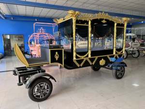 Nuevo Coche Fúnebre Eléctrico Personalizado, Ataúd Refrigerado, Suministros Funerarios, Coche Fúnebre Tirado por Caballos, Furgoneta de Transporte Especial - Product Image 4