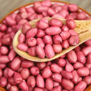 Made In China Superior Quality Shelled Organic Raw Peanut Nuts Natural Red Skin Peanuts