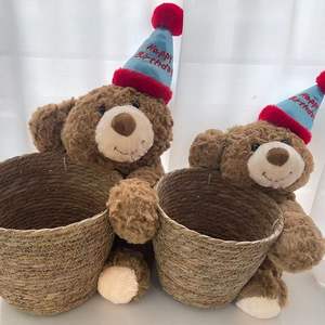 Cesta de flores de paja con diseño pastoral tejido, estilo cubo, para plantas en maceta, Chestnut Little Bear Hug - Product Image 2