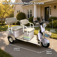 Tricycle électrique pour adultes à 2 places, tricycle électrique pour seniors, scooter de loisirs à 3 roues avec paniers avant et arrière