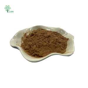 Ekstrak Bacopa Monnieri alami bubuk 10:1 20:1 Bacosides 50% - Product Image 2