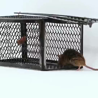 Piège à souris réutilisable en fer, sans cruauté, pour intérieur et extérieur, lot de 2